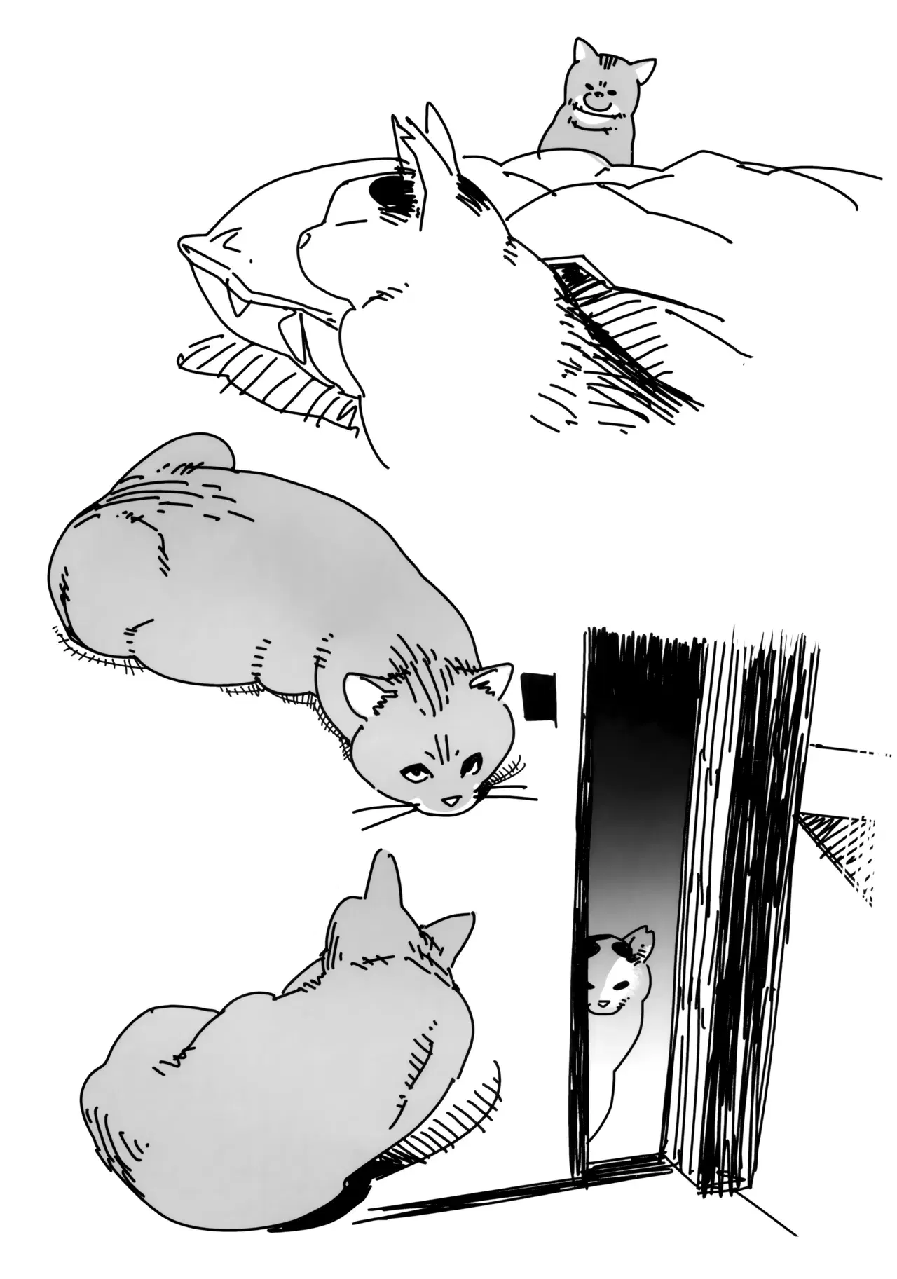 Image #10