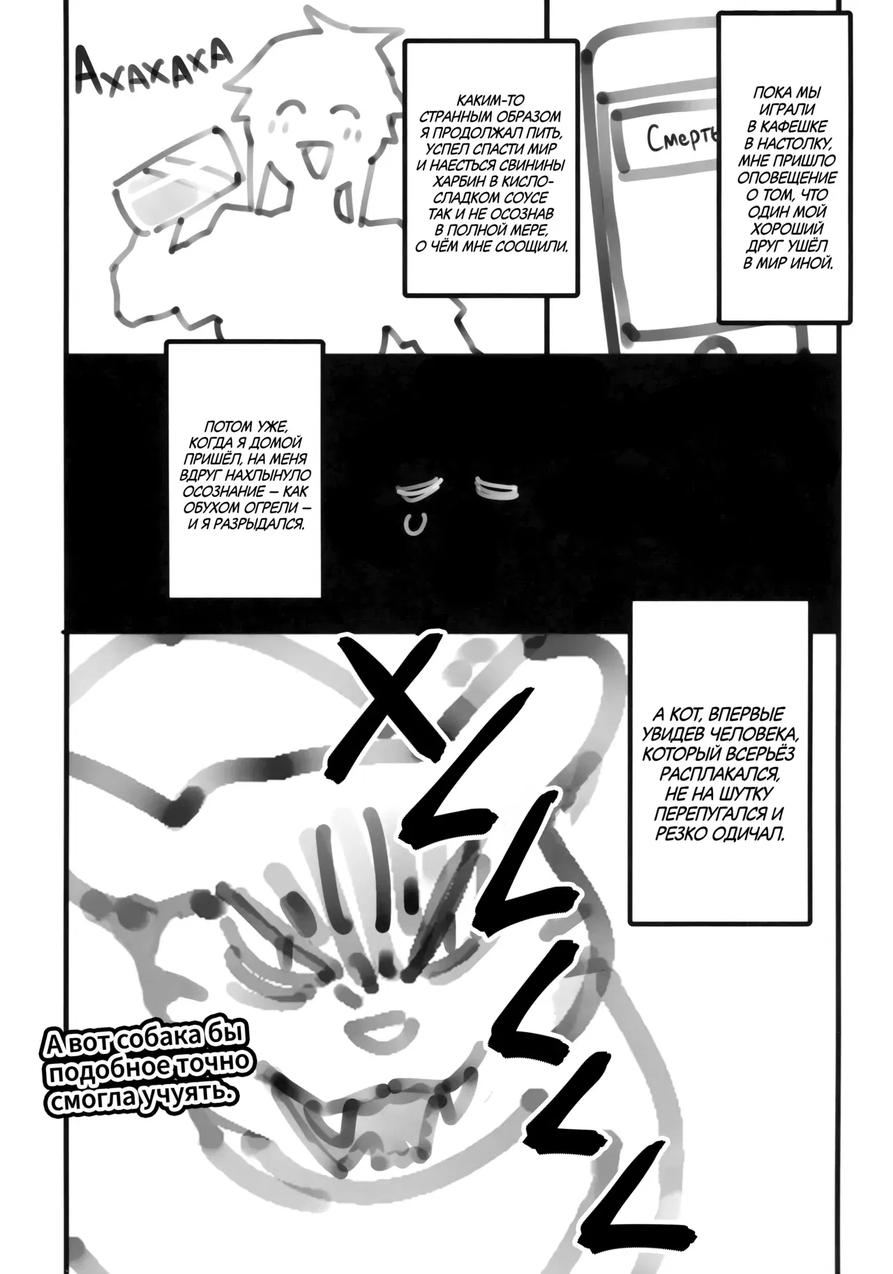 Image #44