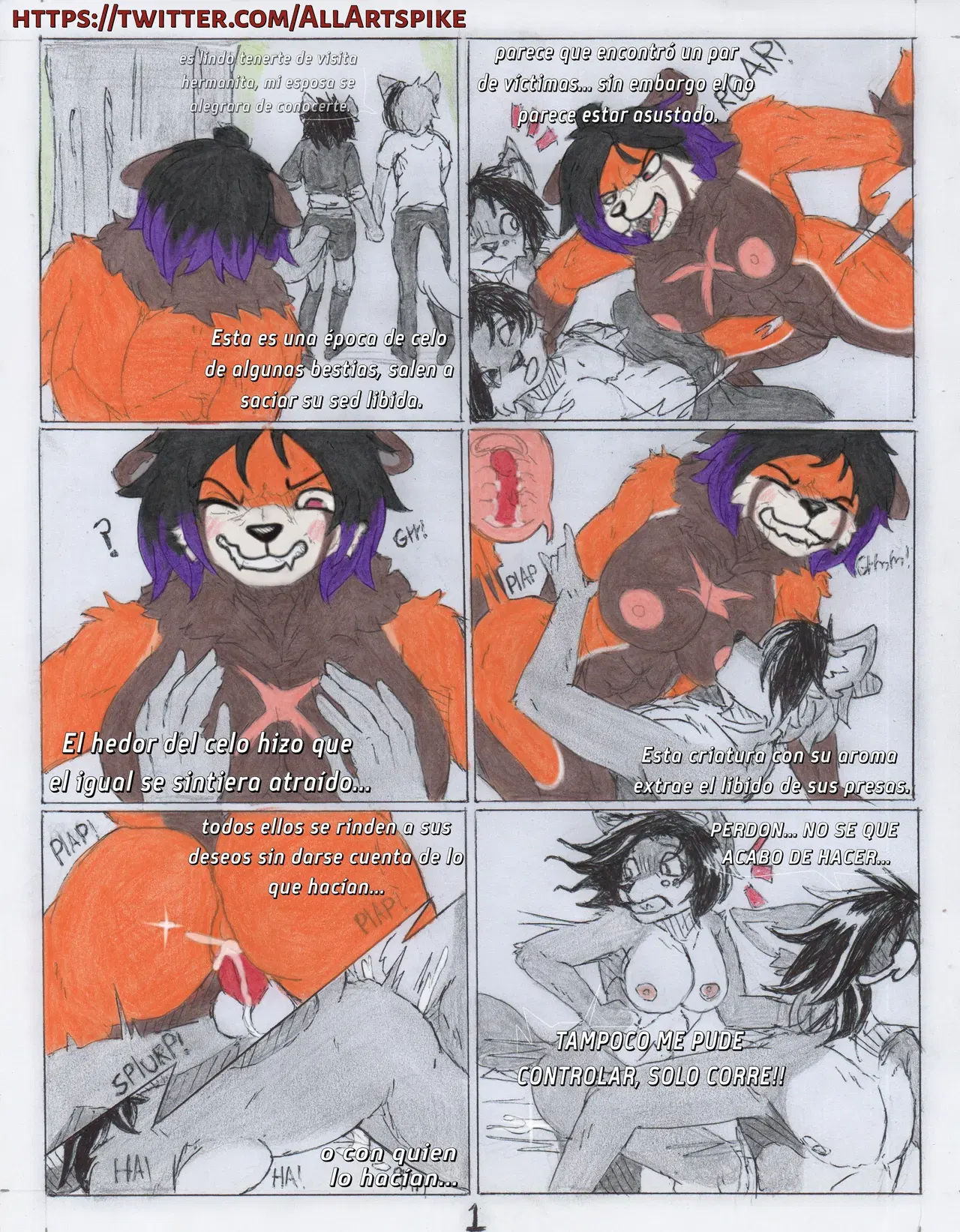 Image #12