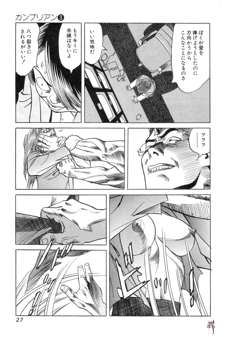 Image #29
