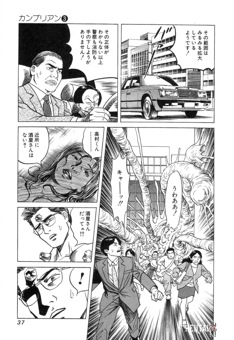 Image #39