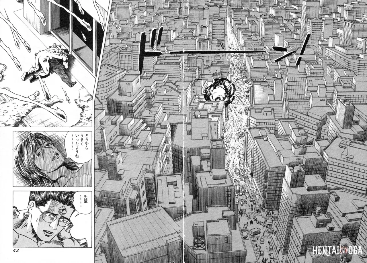 Image #44