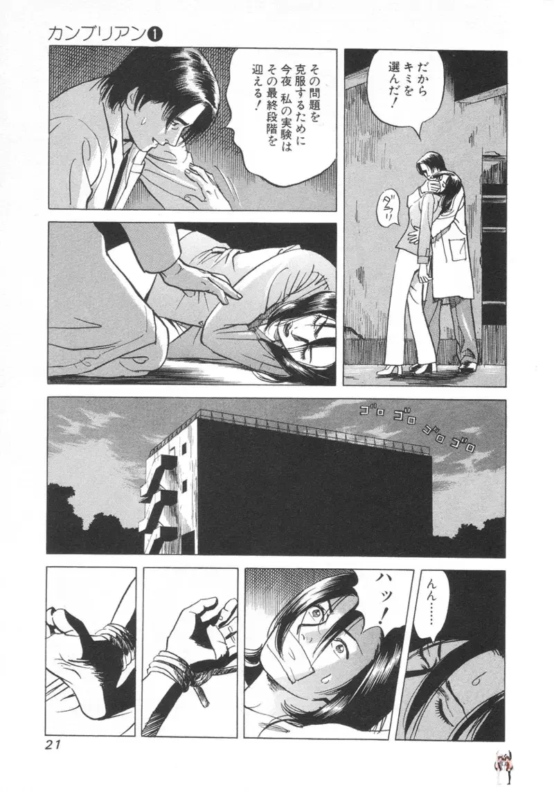 Image #22