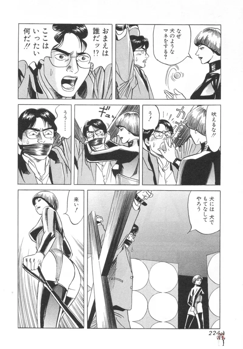 Image #222