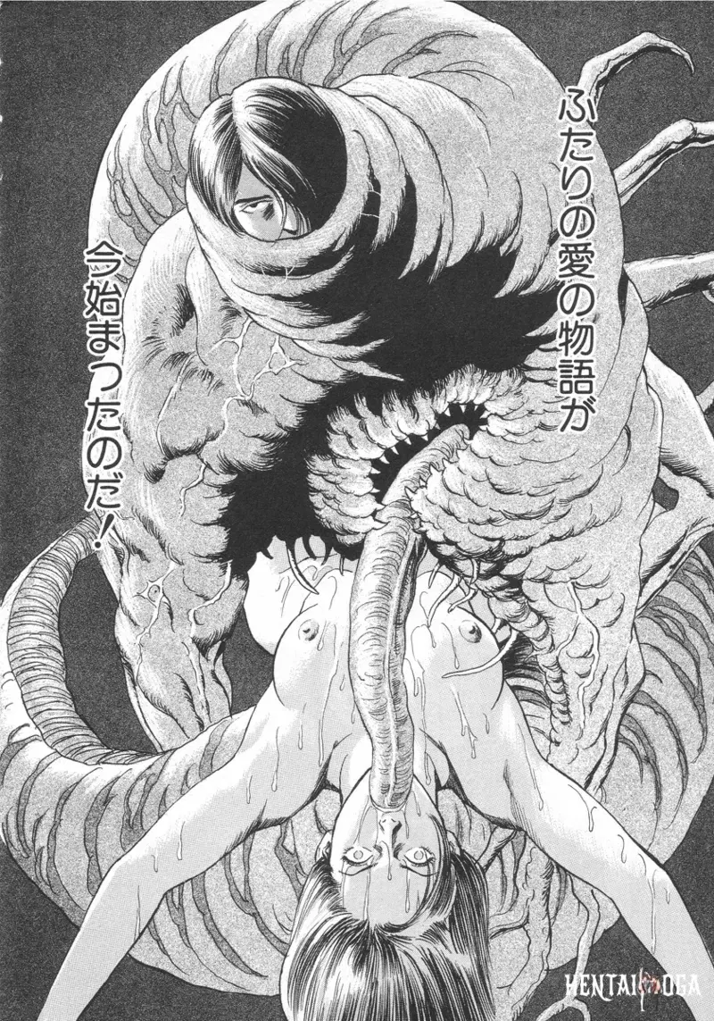 Image #29