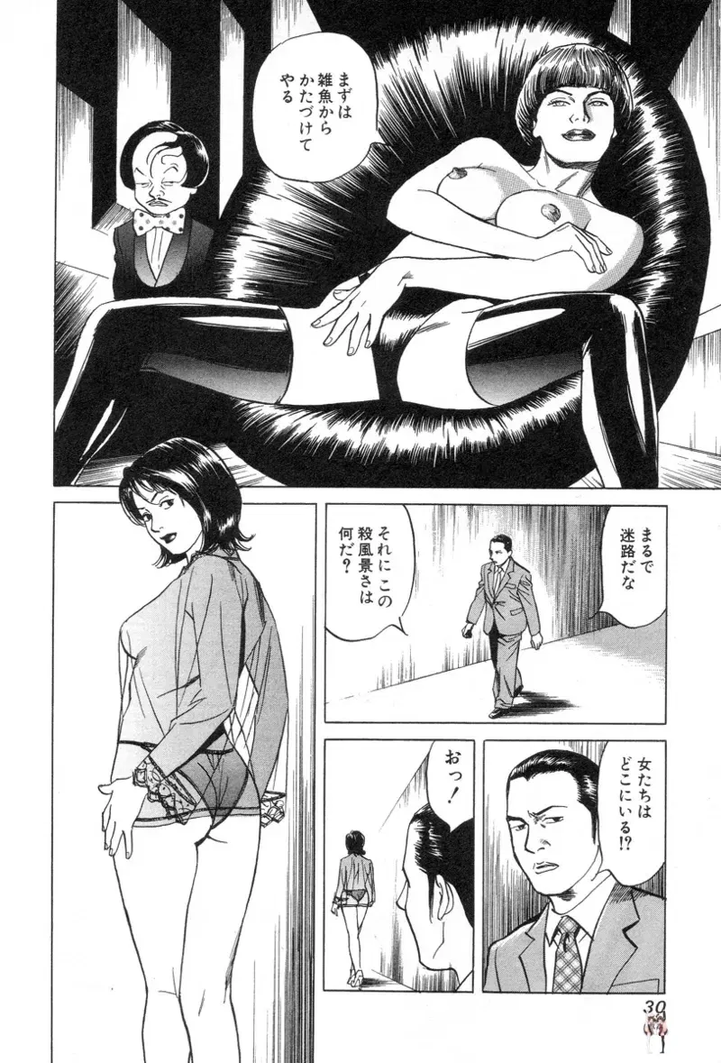 Image #32