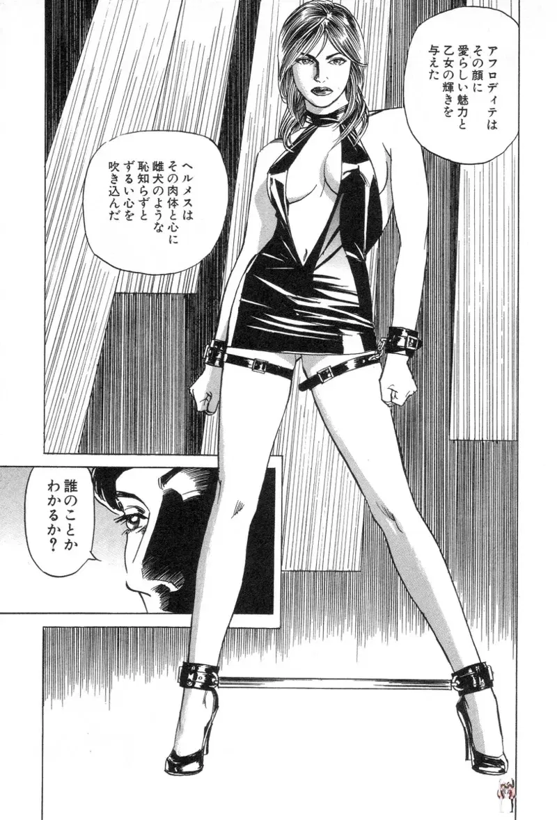 Image #53
