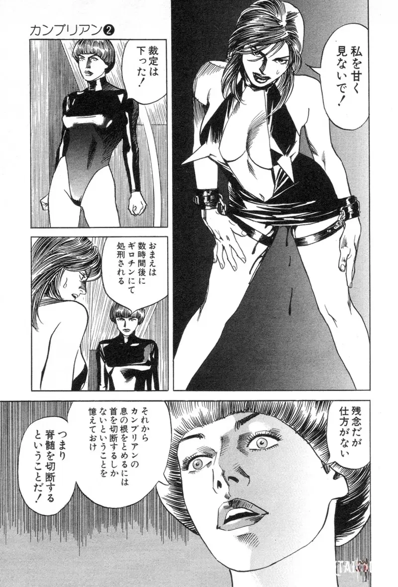 Image #61