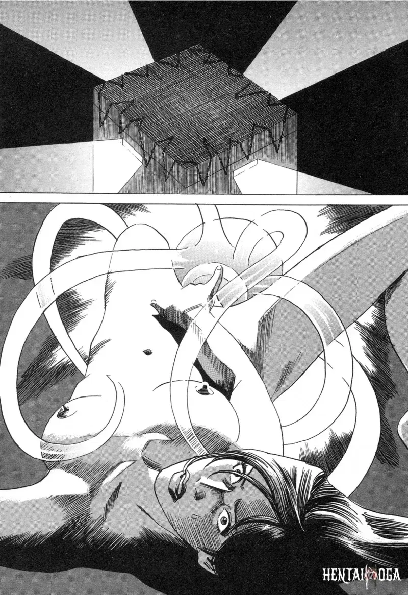 Image #73