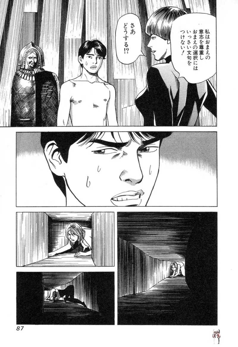 Image #88