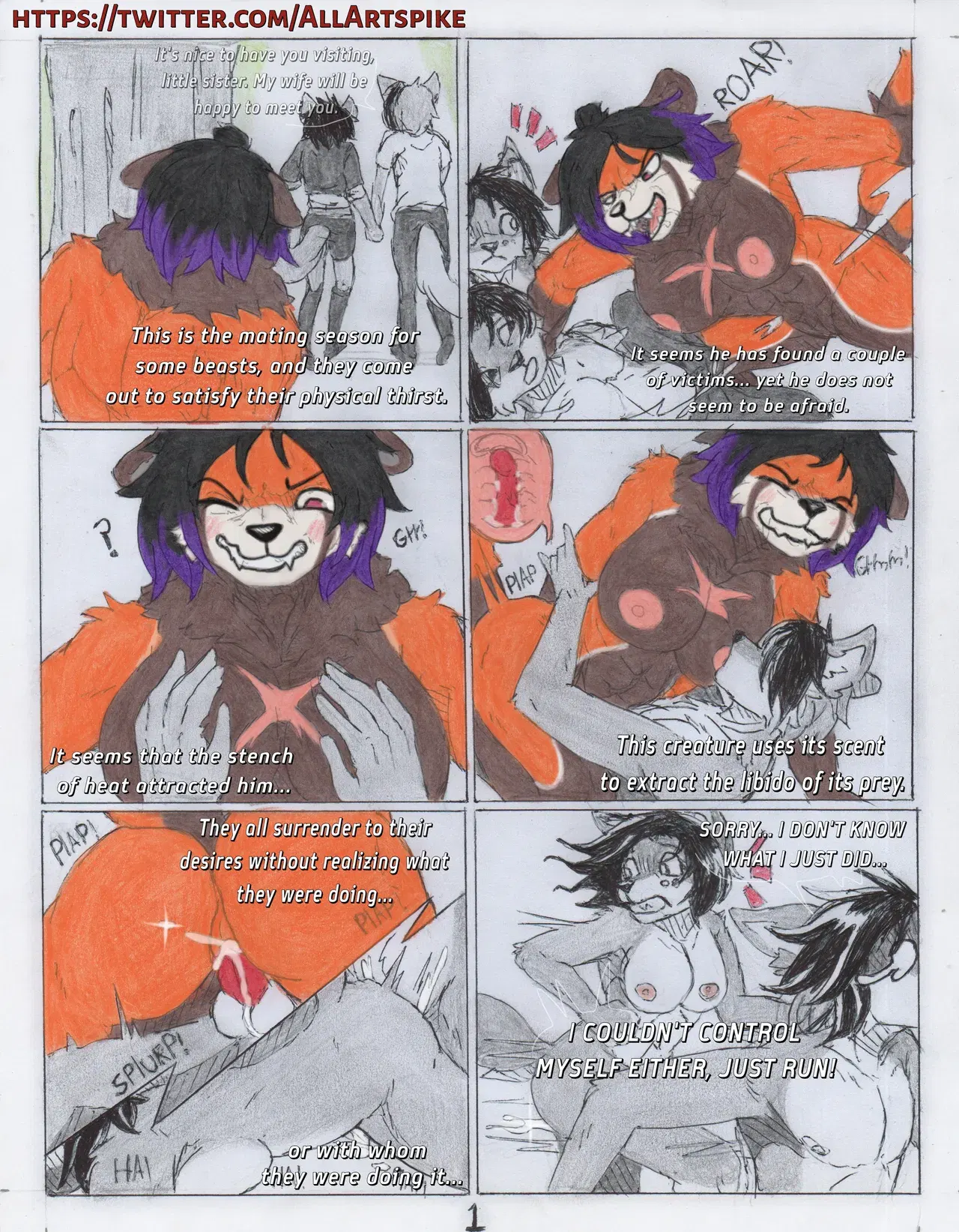 Image #12