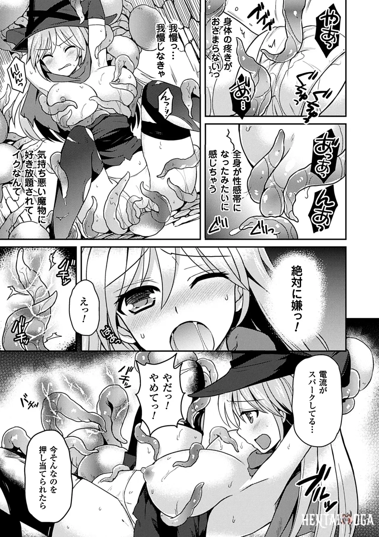 Image #12