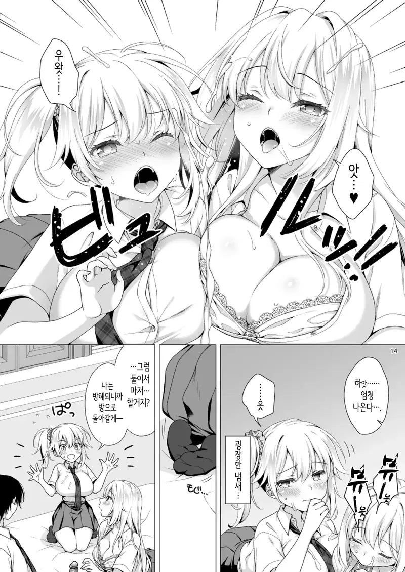 Image #12
