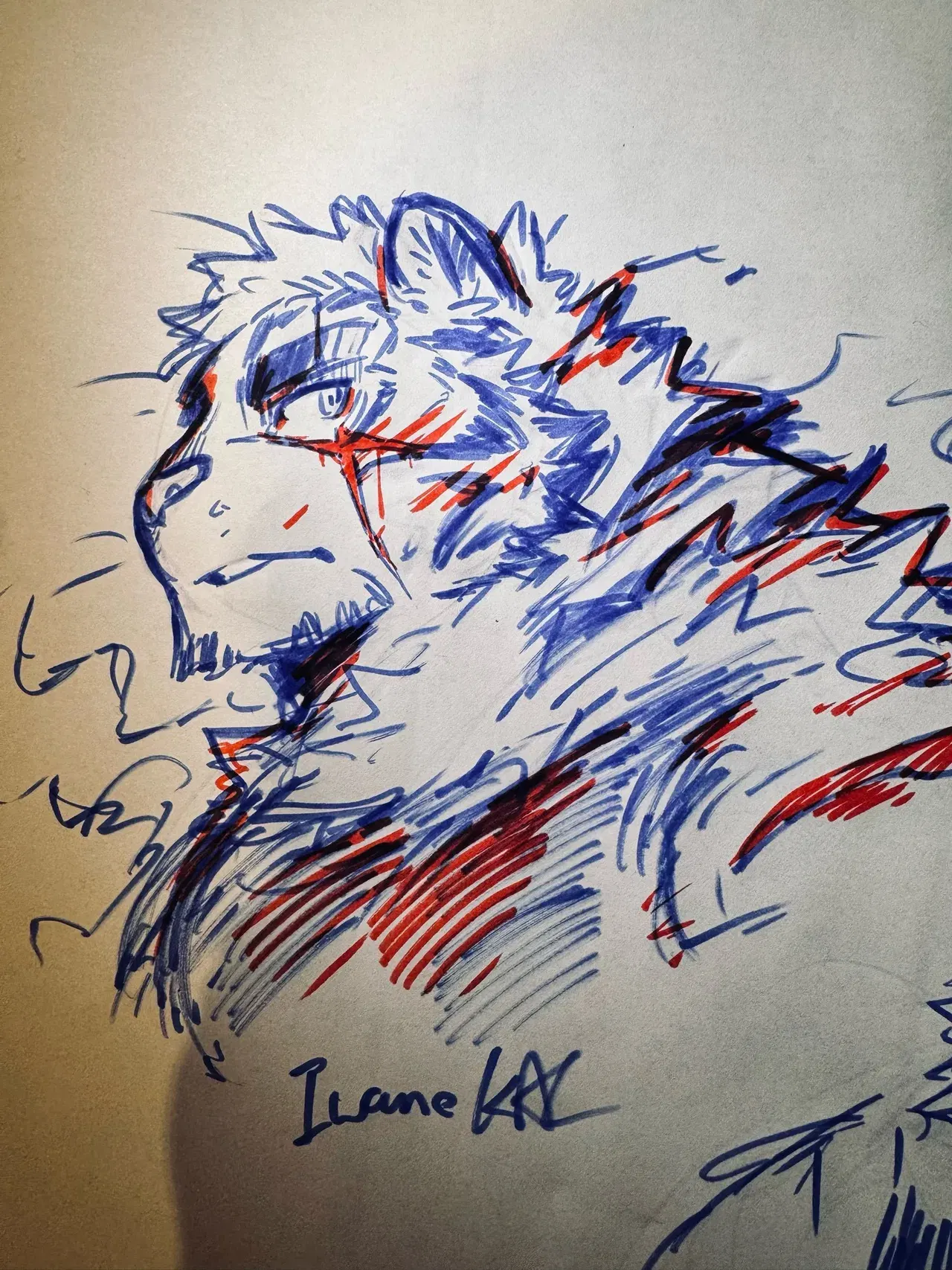 Image #18