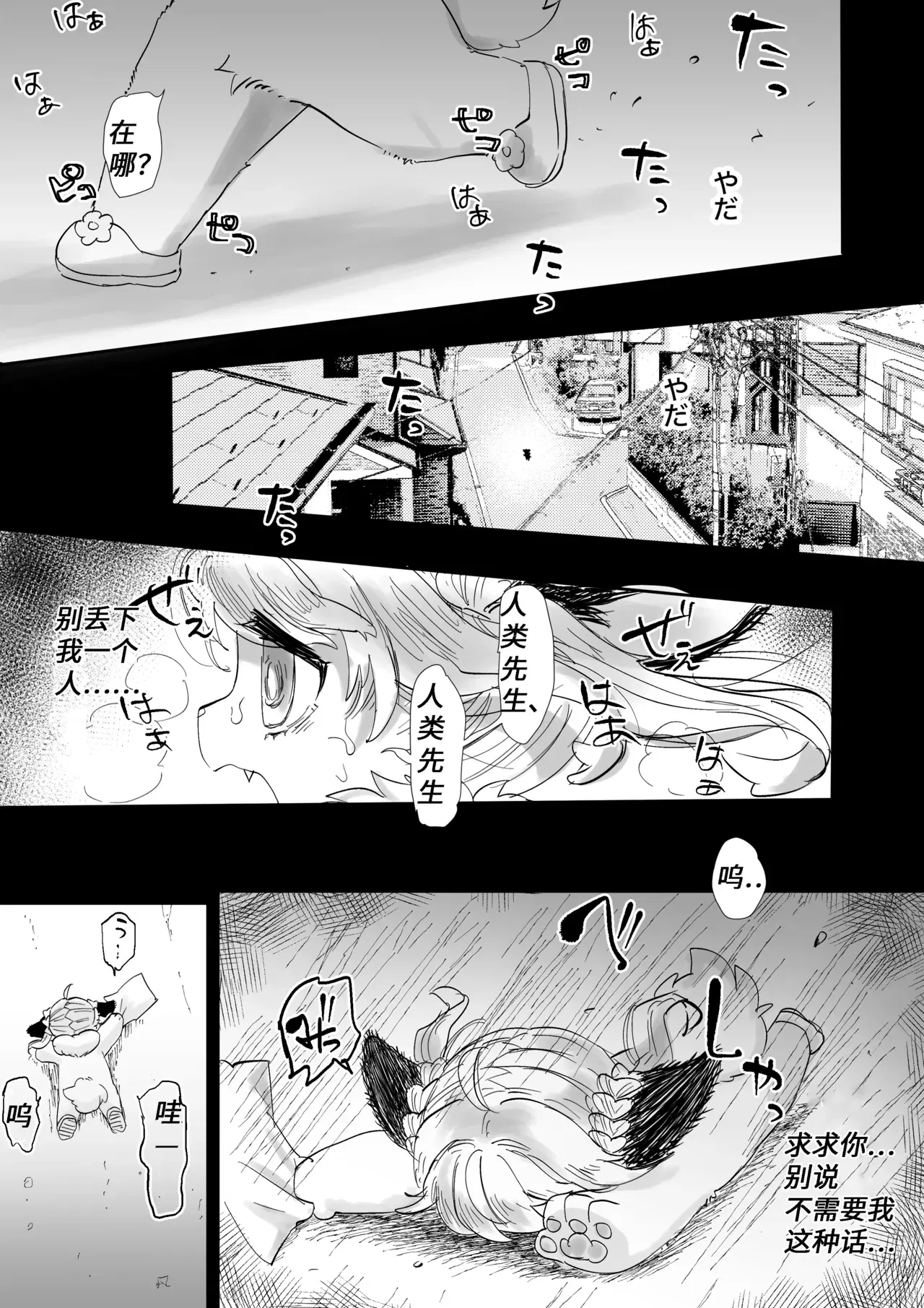 Image #15