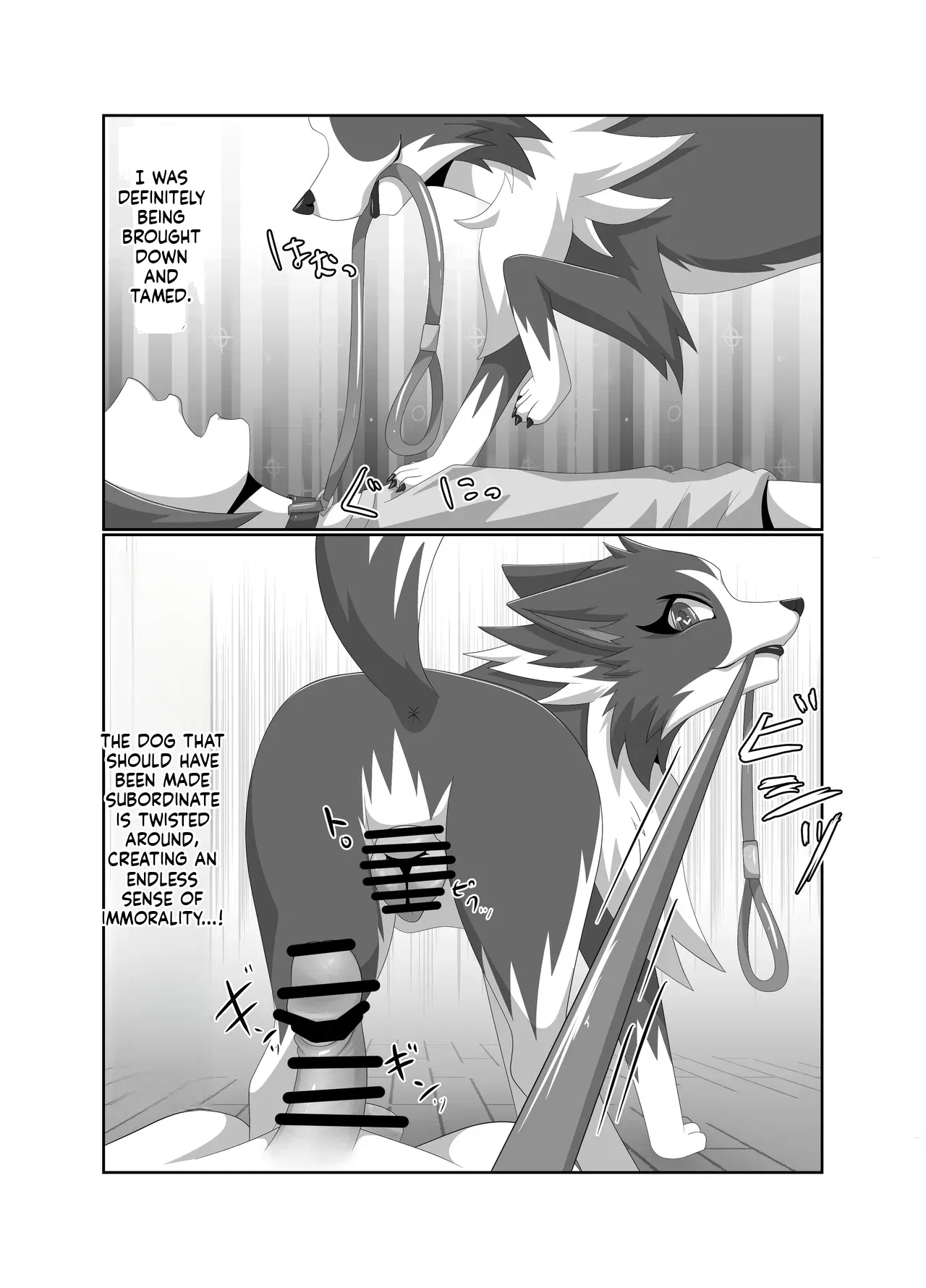 Image #27
