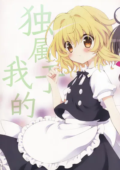 (C86) (iroha (Oryu Aya)) Watashi dake no (Touhou Project) (Chinese) (茶与金平糖汉化组) - Hentai Gallery