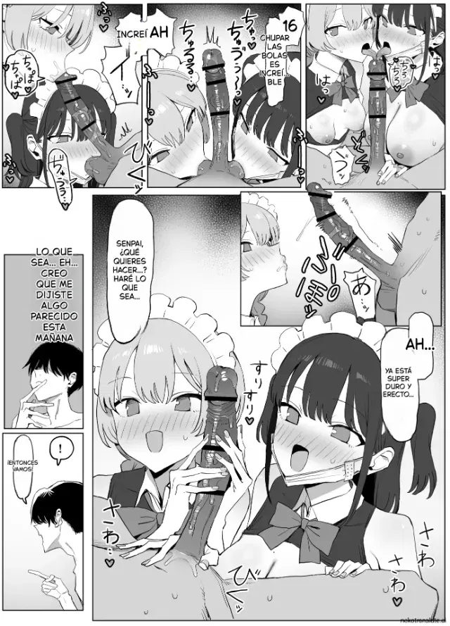 Image #422