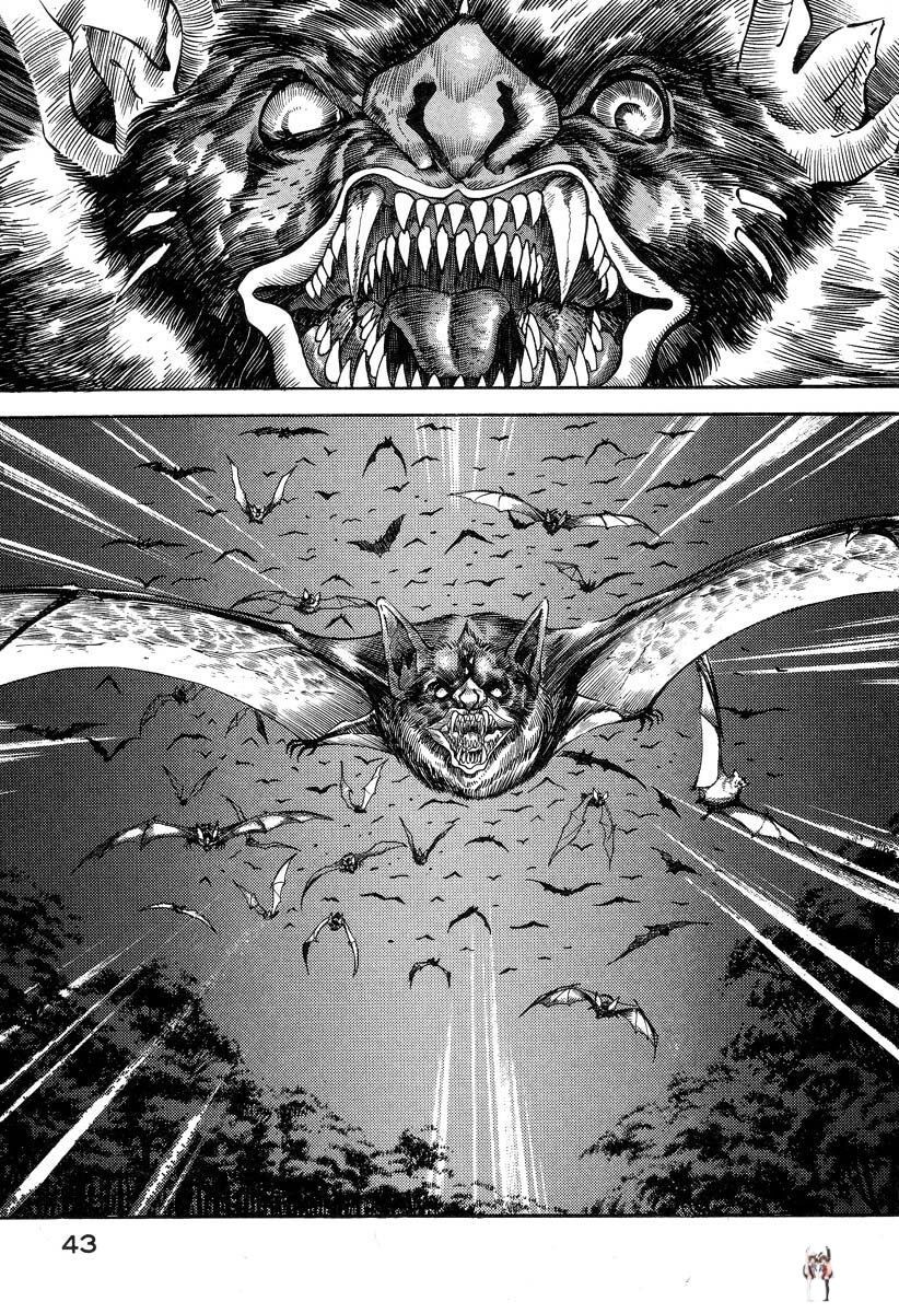 Image #47