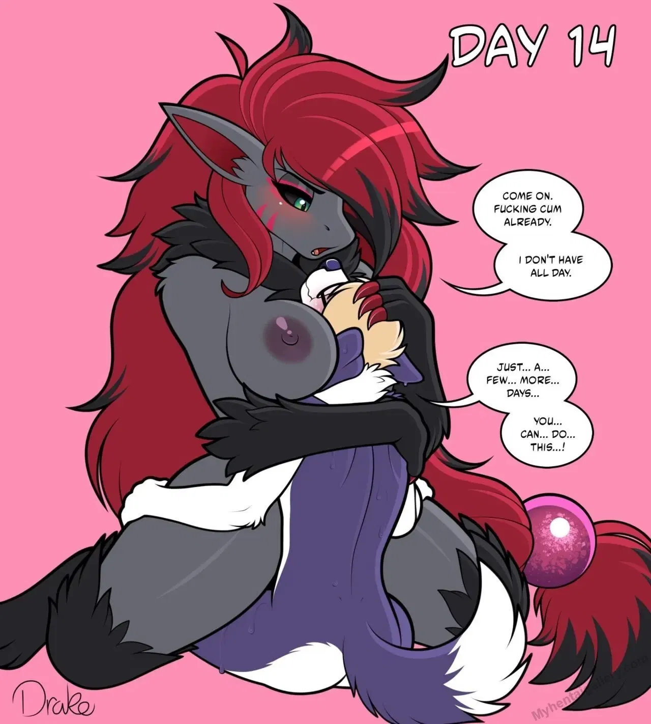 Image #14