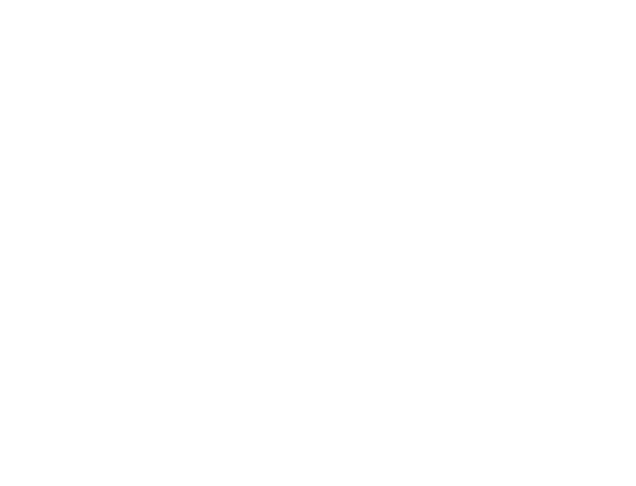 Image #271