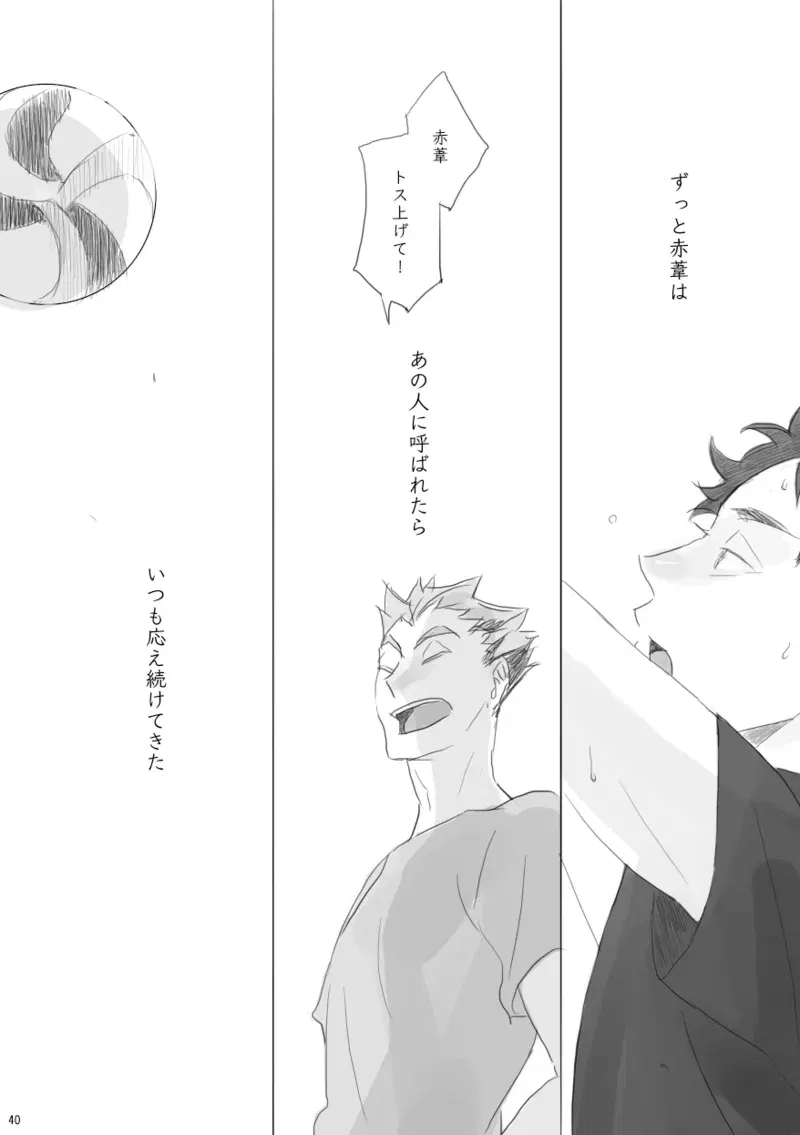 Image #39