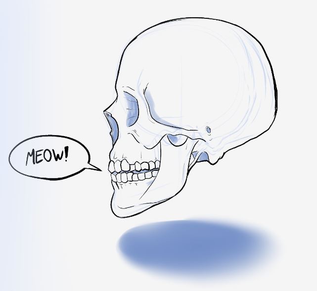 Image #44