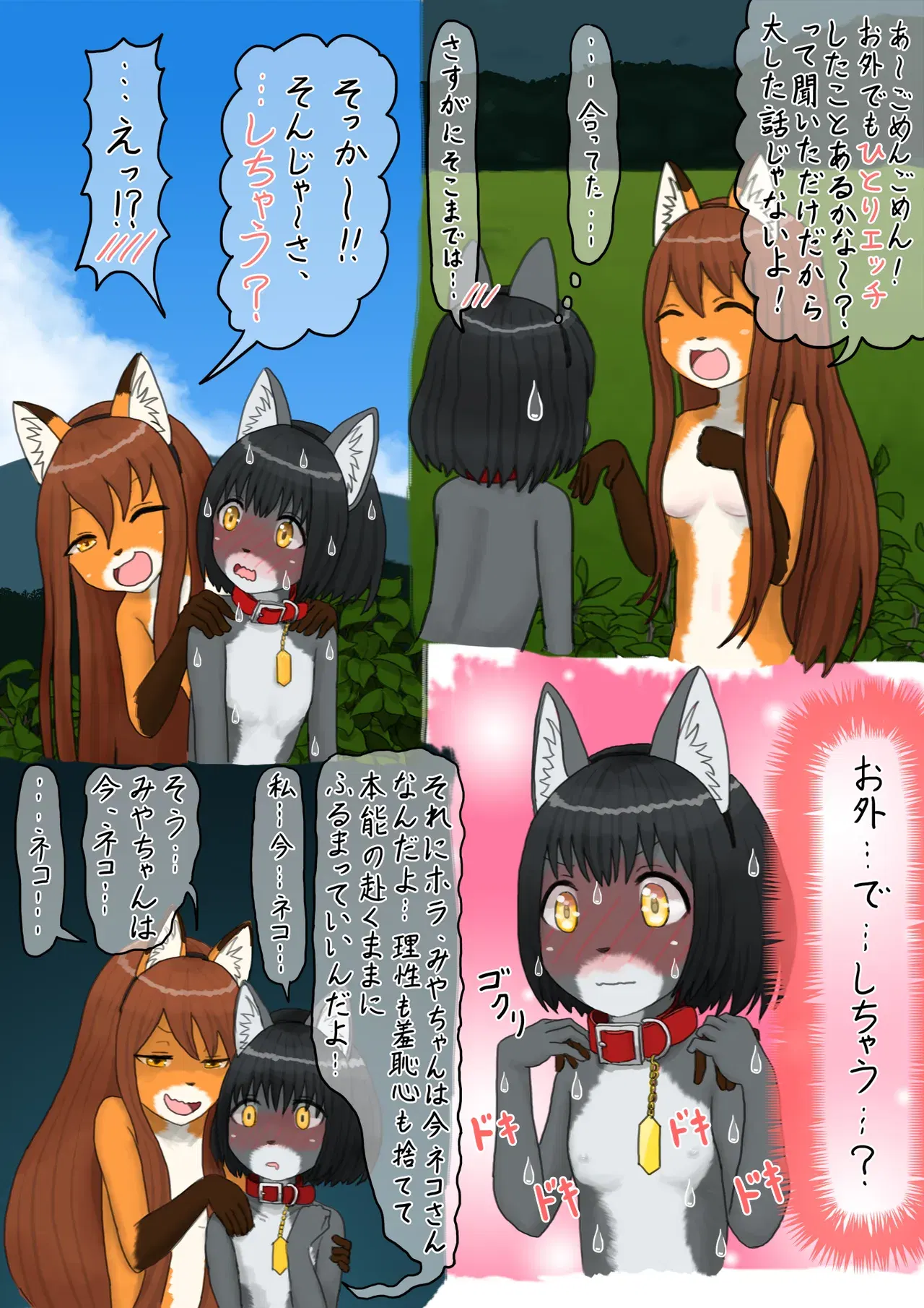 Image #16