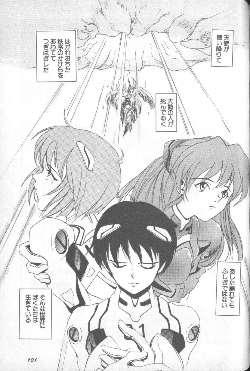Image #100