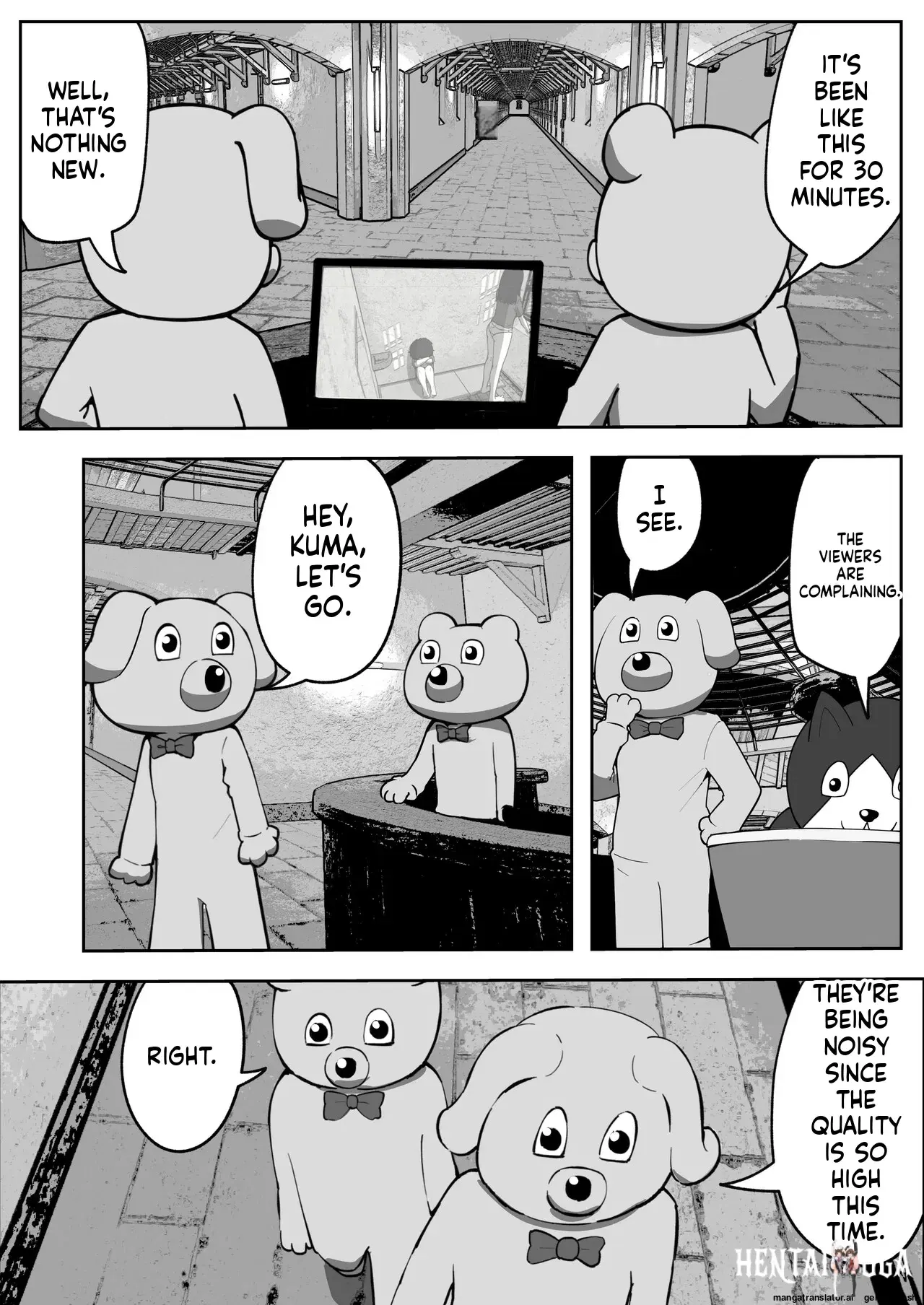 Image #13