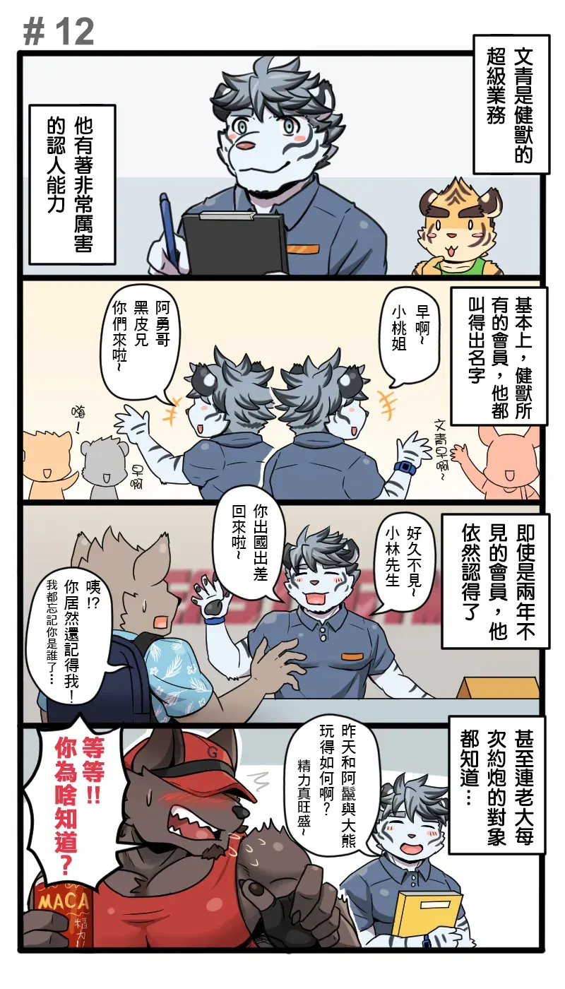 Image #13