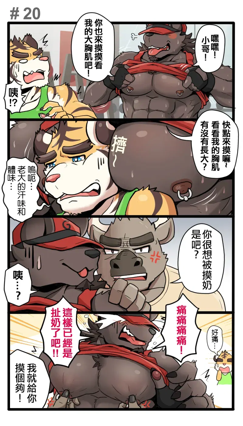 Image #21
