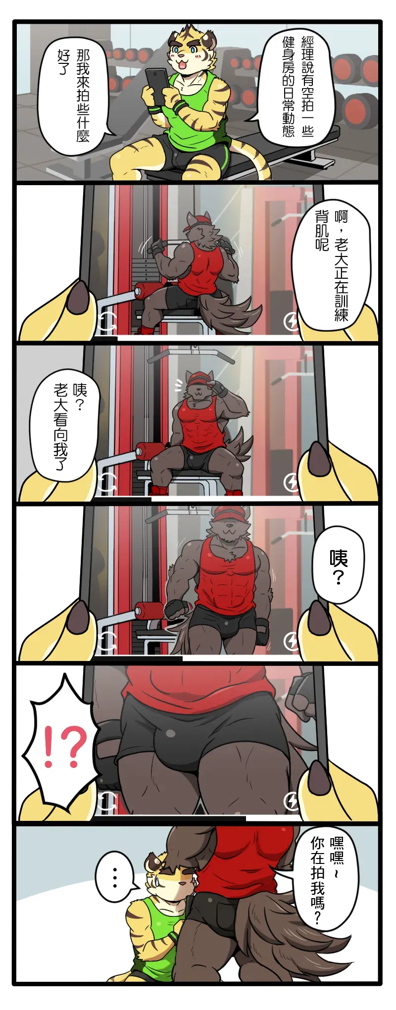 Image #6