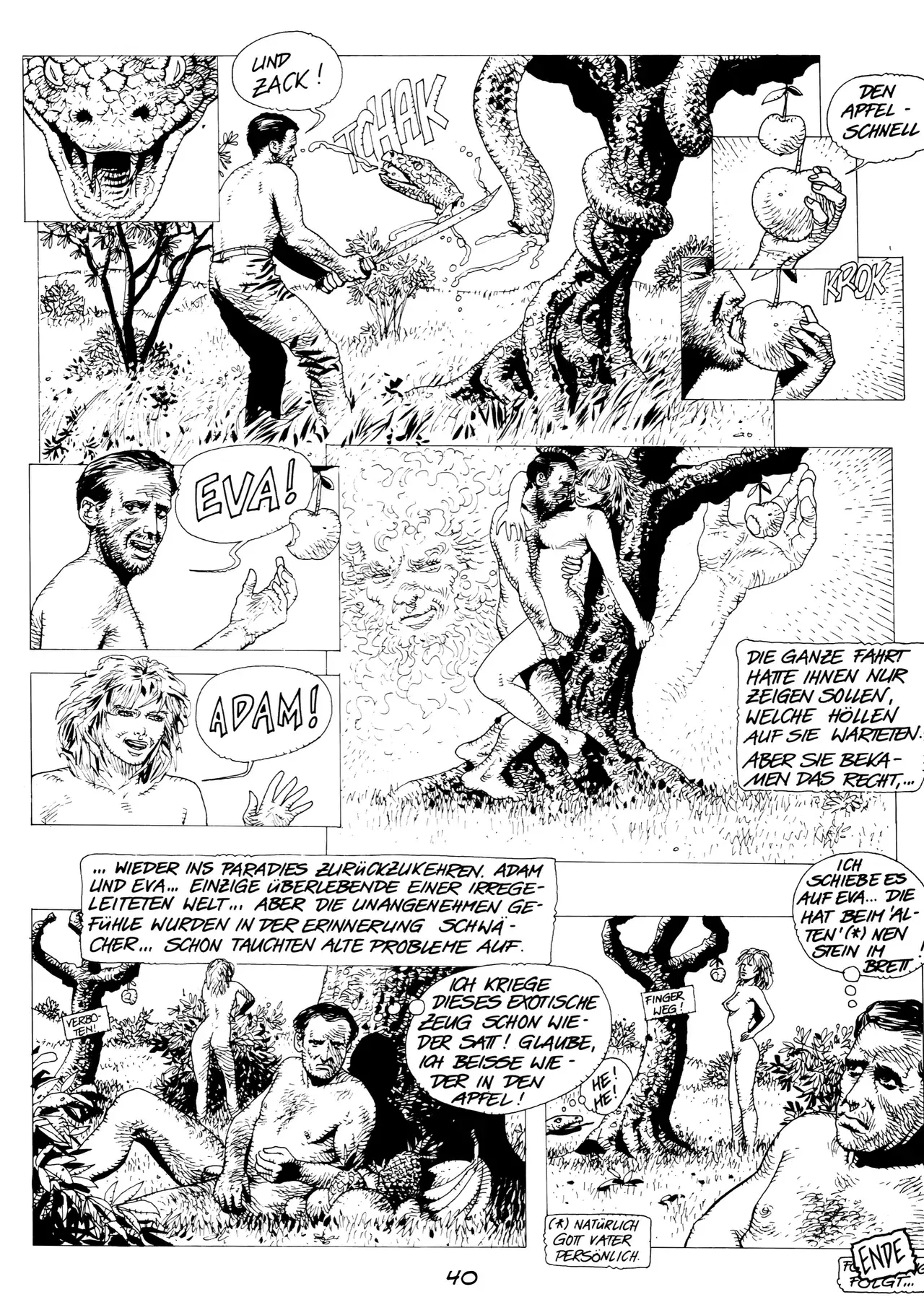 Image #41