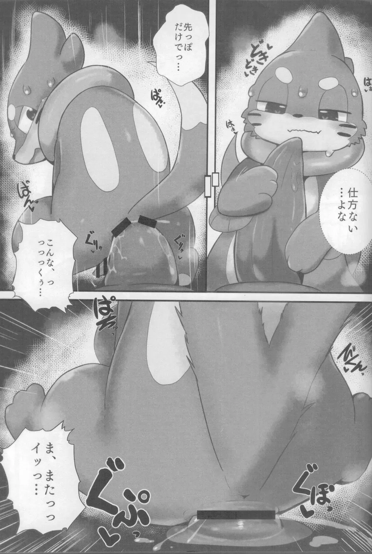 Image #29