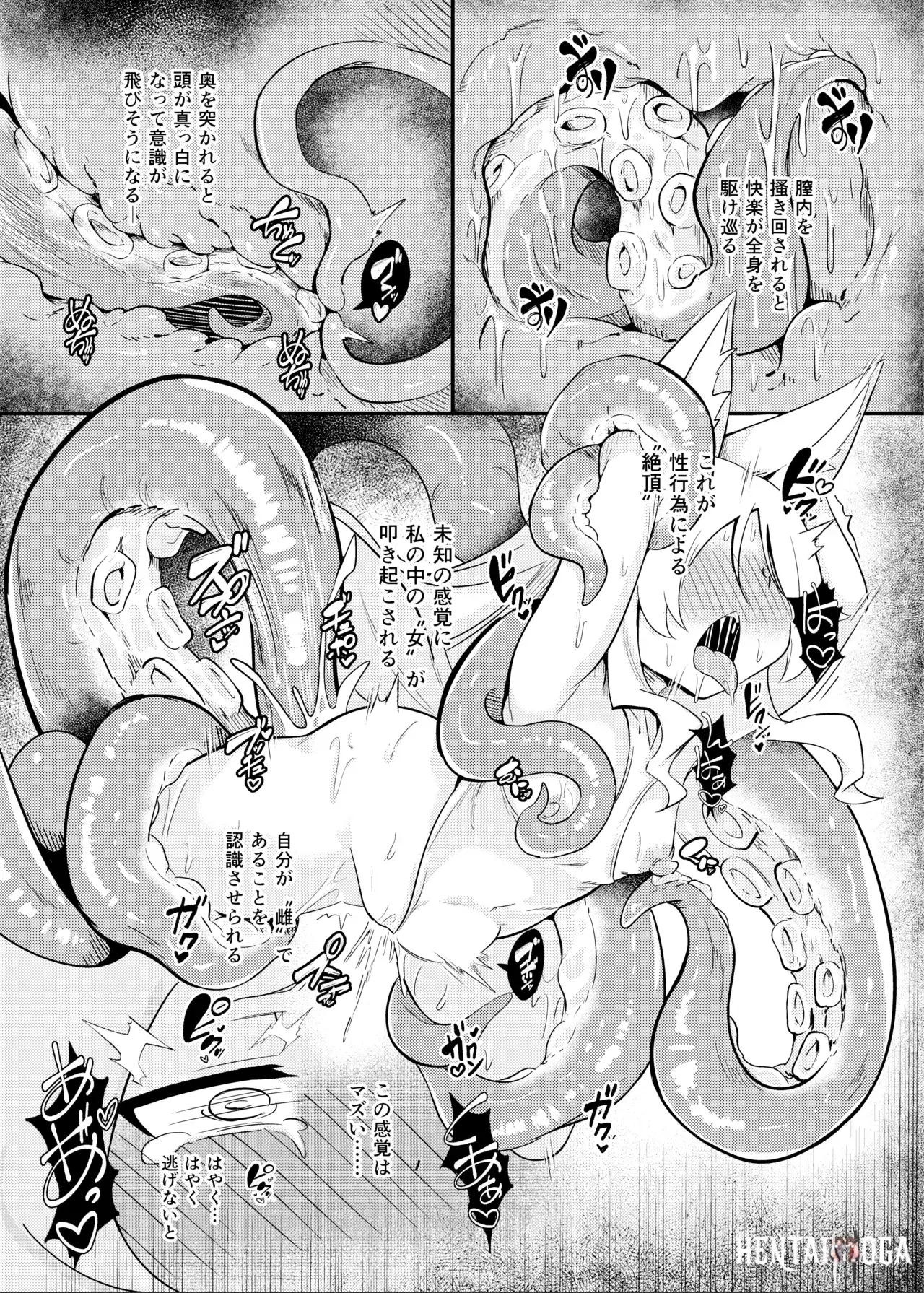 Image #16