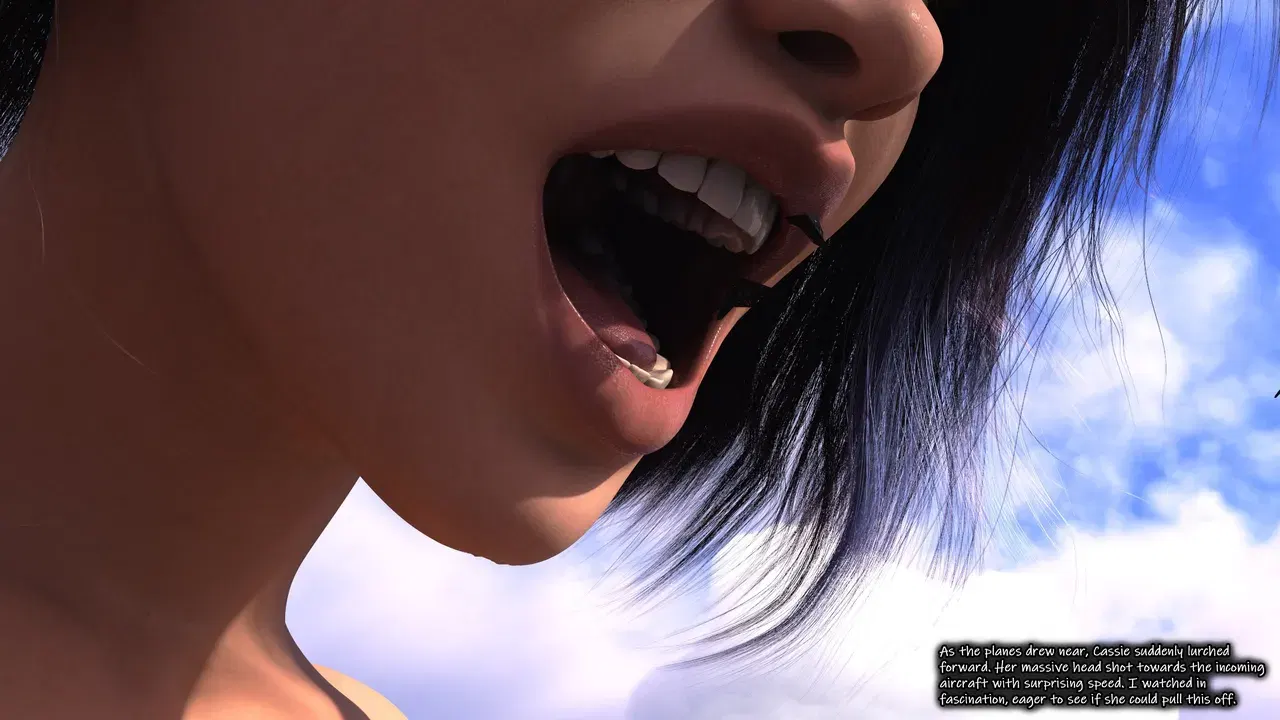 Image #528