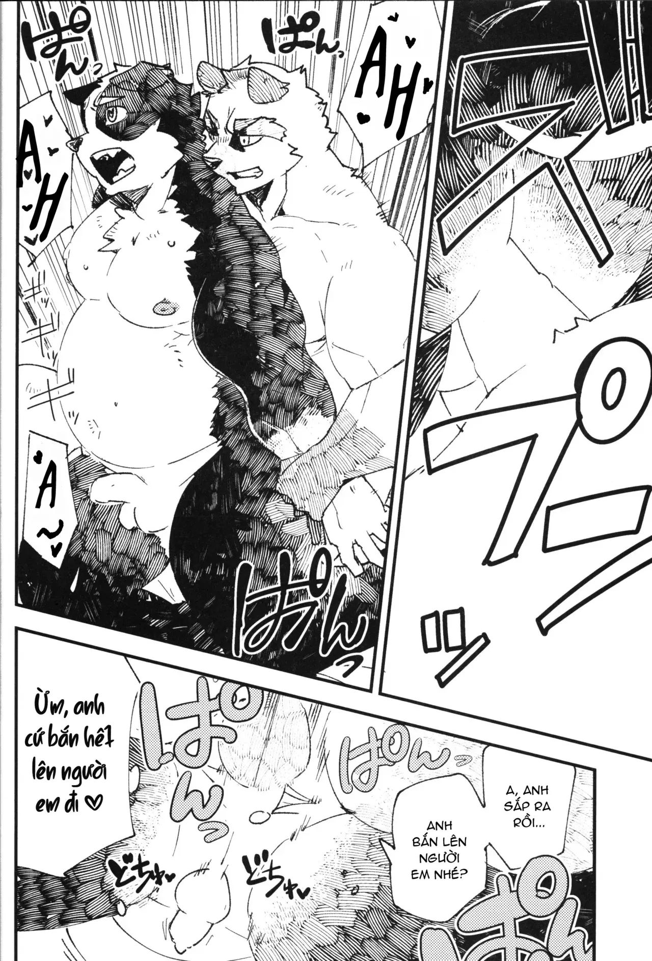 Image #12