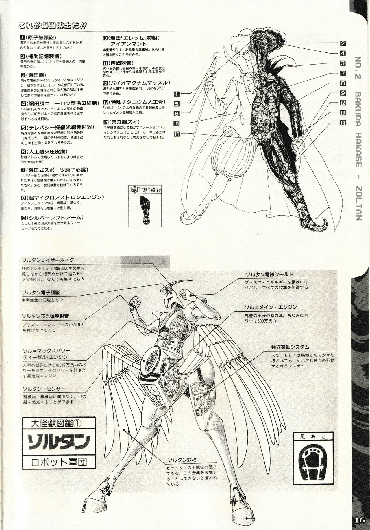 Image #19