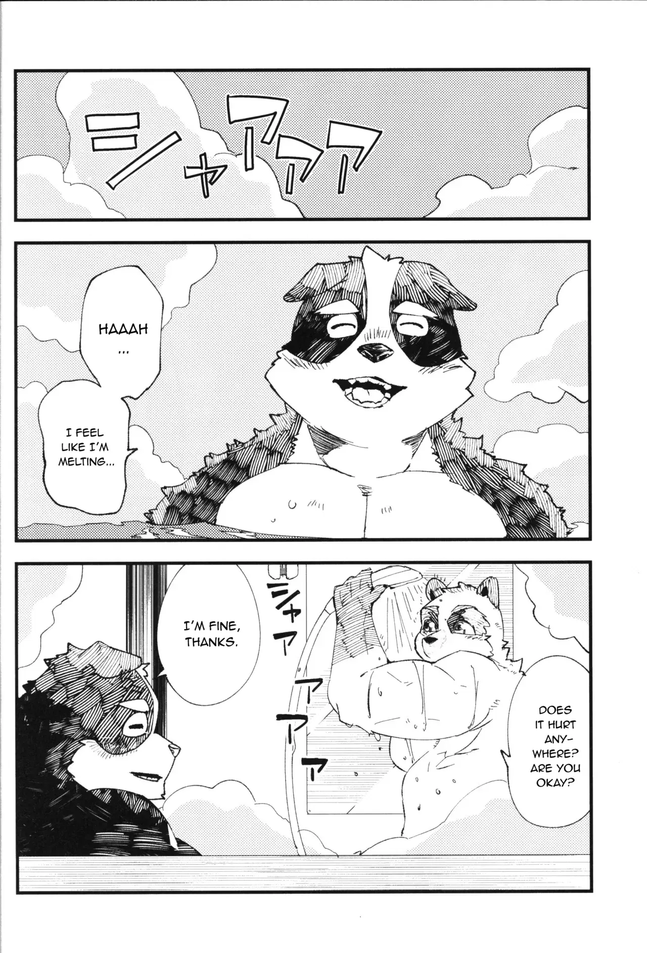 Image #14