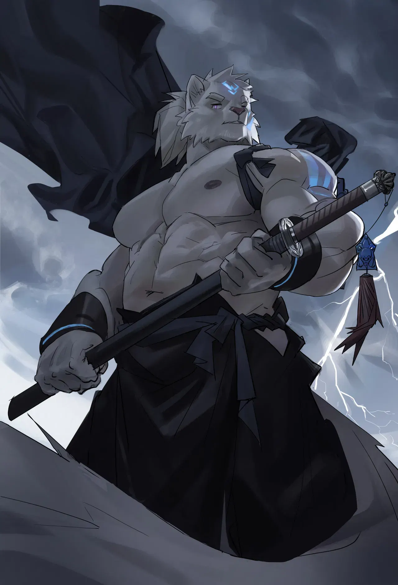 Image #19