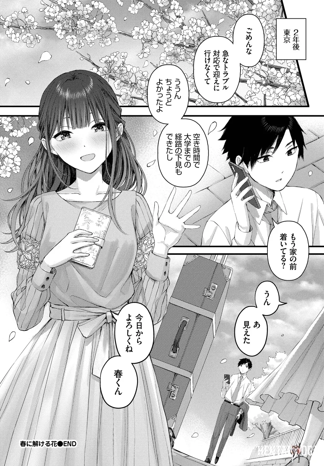 Image #42