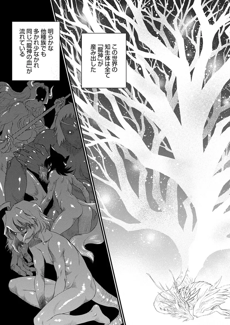 Image #40