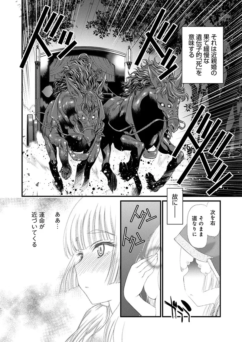 Image #41