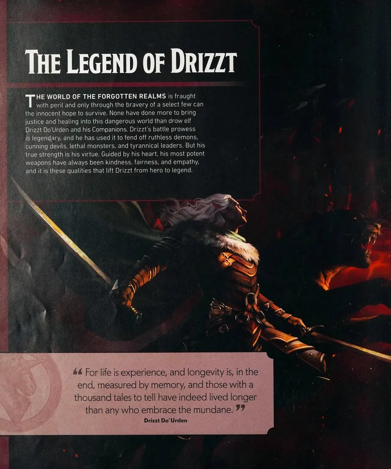 Image #11