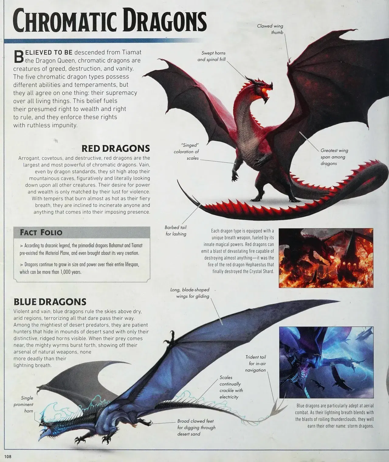 Image #111