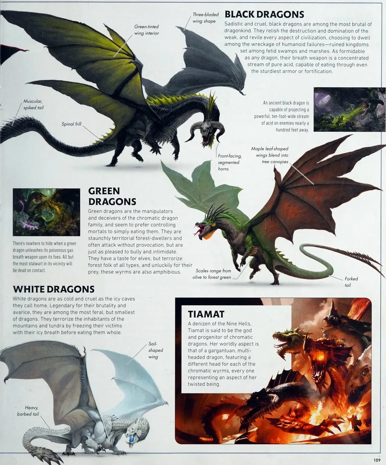 Image #112