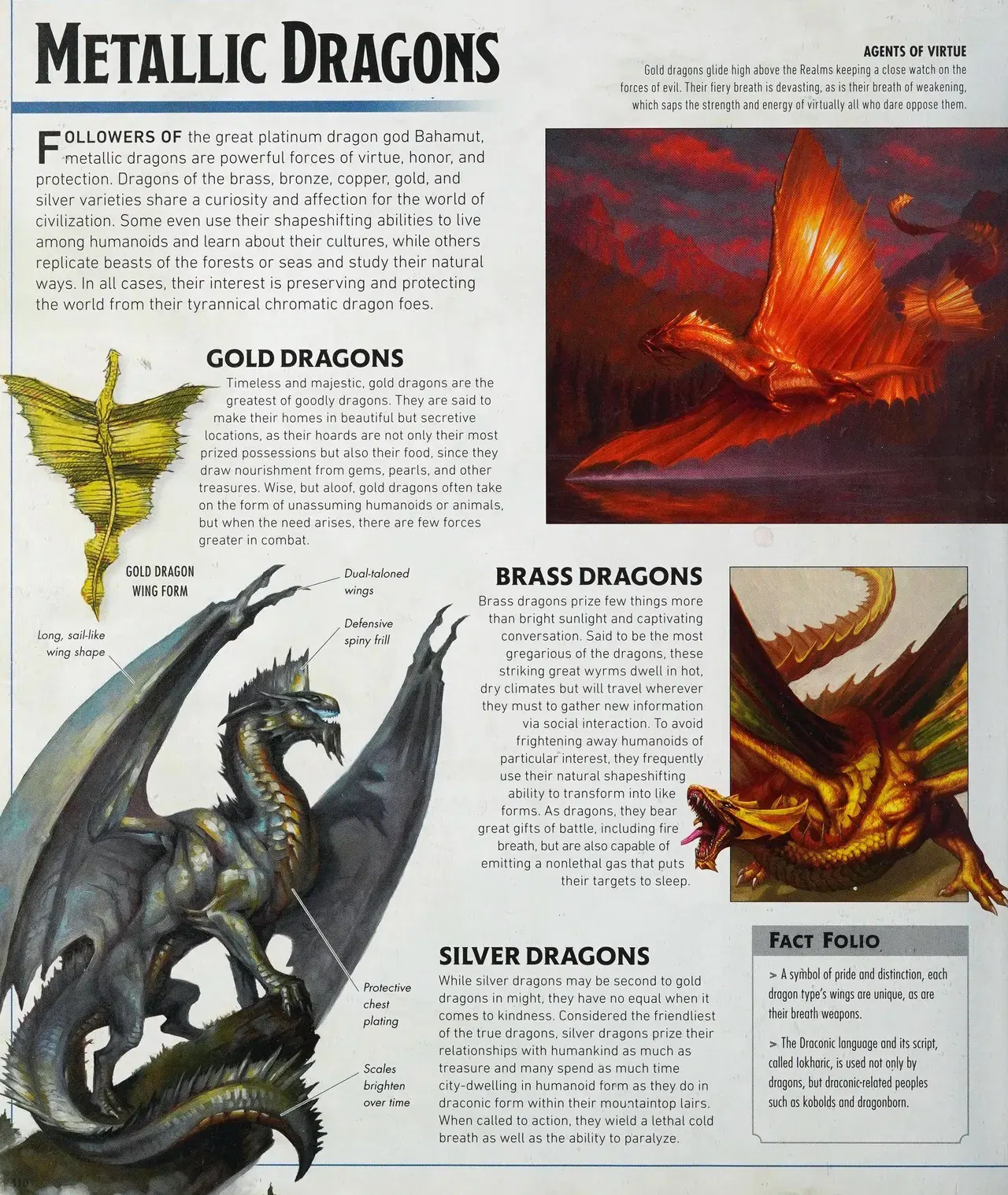 Image #113