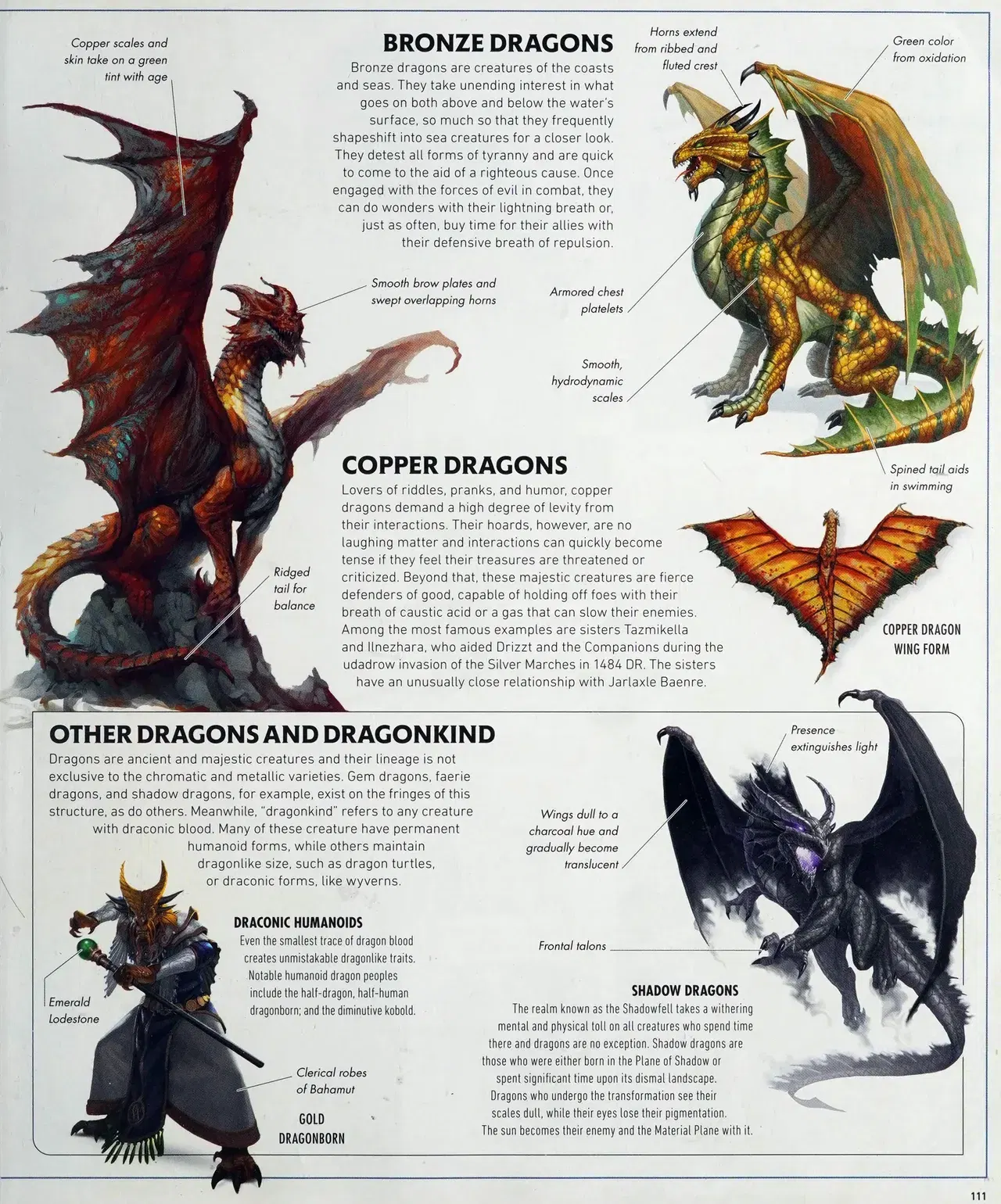 Image #114