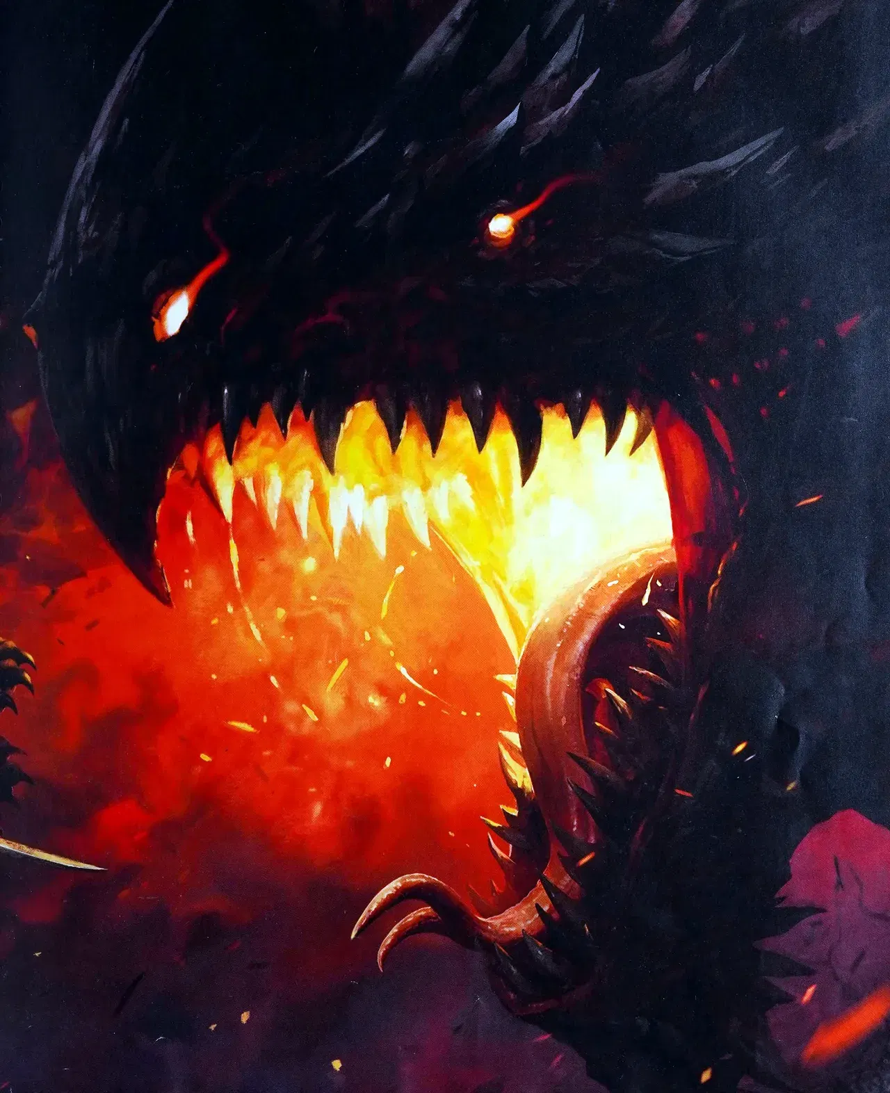 Image #12